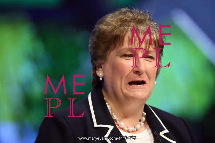 : Annabel Goldie MSP : Annabel Goldie MSP