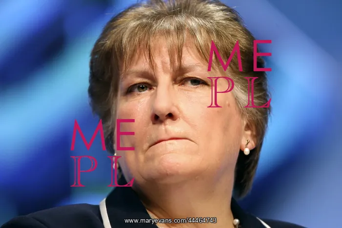 : Annabel Goldie MSP : Annabel Goldie MSP