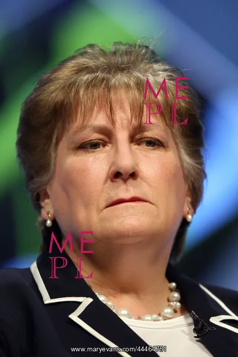 : Annabel Goldie MSP : Annabel Goldie MSP