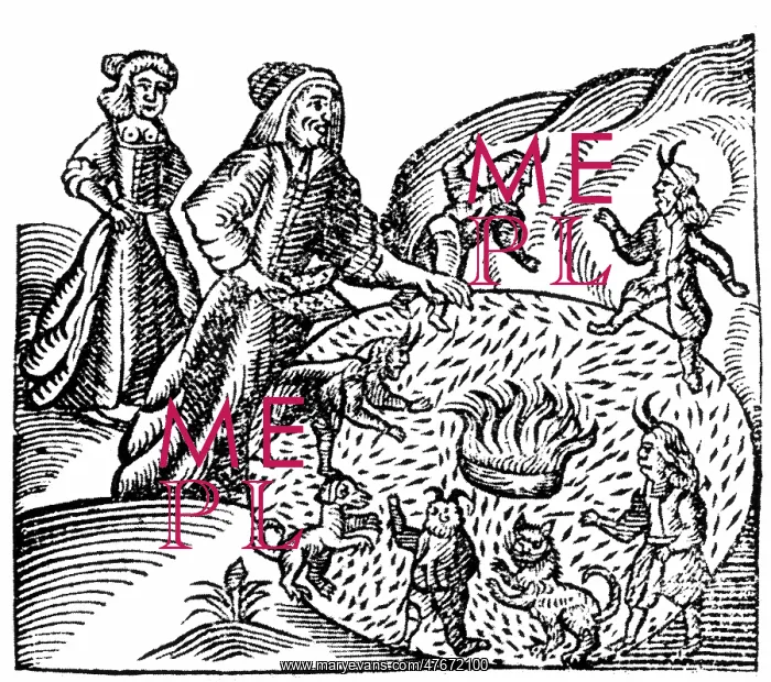 : Anne Bodenham, The Wiltshire Witch : Anne Bodenham, The Wiltshire Witch