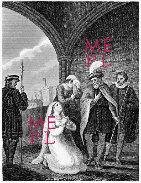 : Anne Boleyn to the Tower : Anne Boleyn to the Tower