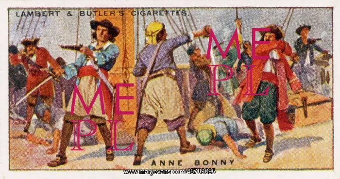 : ANNE BONNEY FIGHTS : ANNE BONNEY FIGHTS