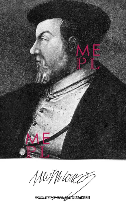 : Anne, Duke of Montmorency : Anne, Duke of Montmorency