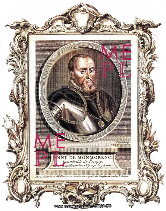: ANNE DE MONTMORENCY : ANNE DE MONTMORENCY