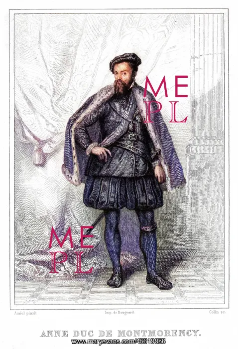 : ANNE DE MONTMORENCY : ANNE DE MONTMORENCY