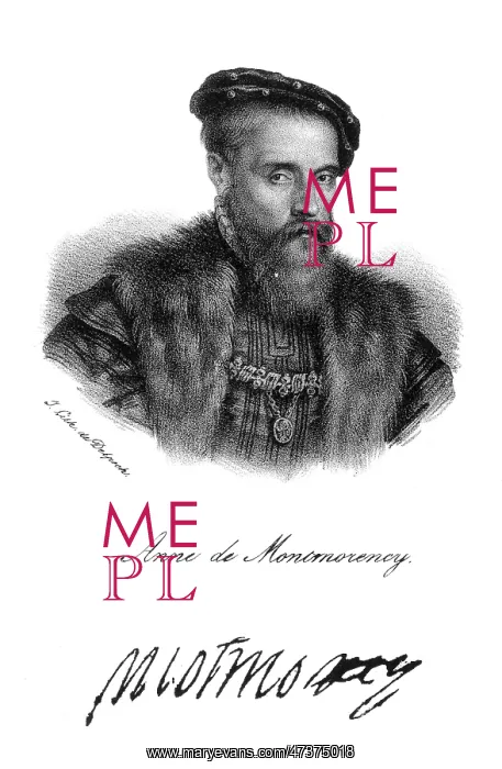 : ANNE DE MONTMORENCY : ANNE DE MONTMORENCY