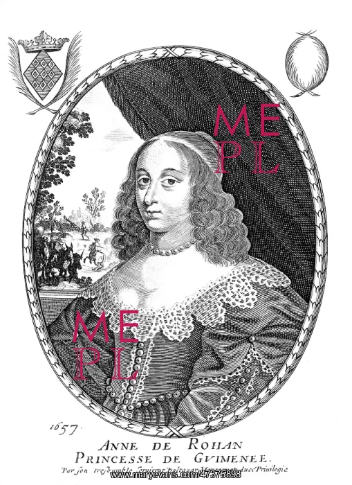 : ANNE DE ROHAN : ANNE DE ROHAN