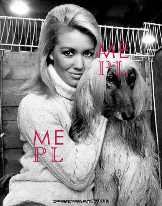 : Annette Andre : Annette Andre