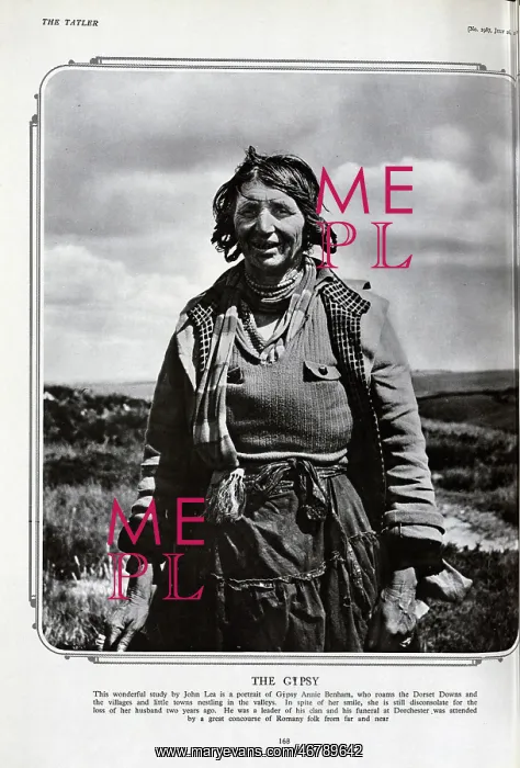 : Annie Benham, a Romany traveller : Annie Benham, a Romany traveller