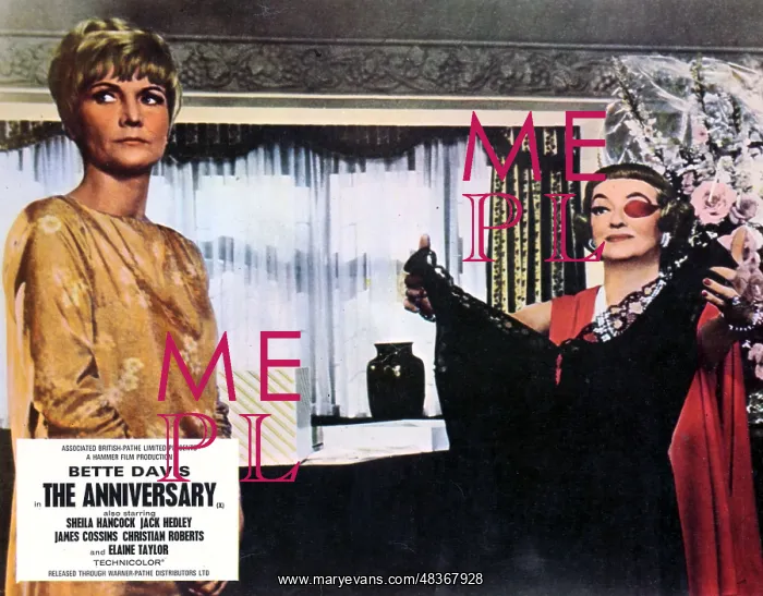 : THE ANNIVERSARY : THE ANNIVERSARY
