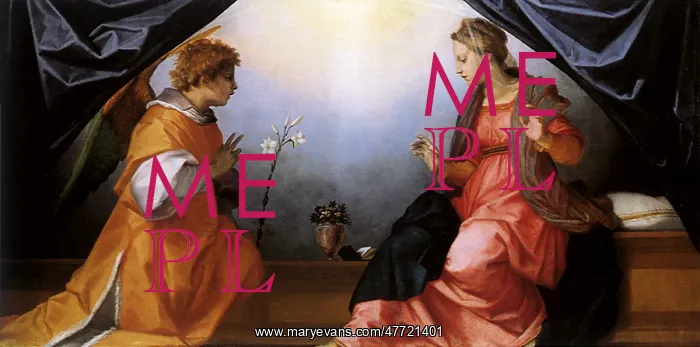 : The Annunciation, by del Sarto : The Annunciation, by del Sarto