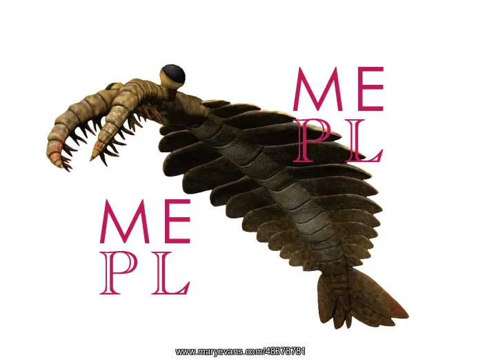 : Anomalocaris is an arthropod from the Cambrian of Canada : Anomalocaris is an arthropod from the Cambrian of Canada