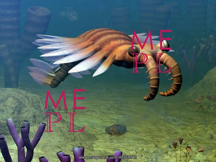 : An Anomalocaris explores a Middle Cambrian age ocean floor : An Anomalocaris explores a Middle Cambrian age ocean floor