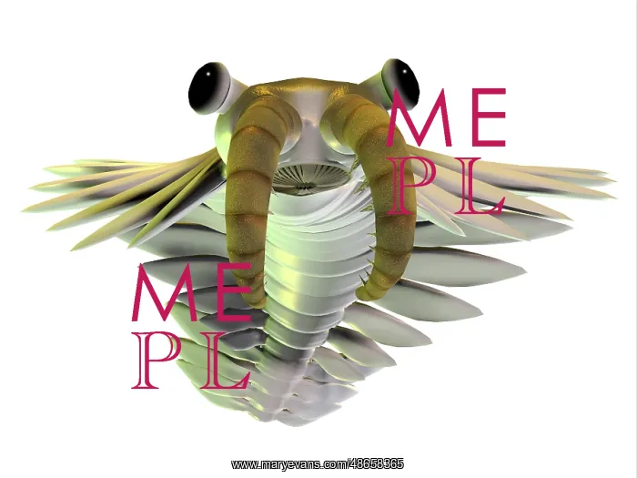 : Anomalocaris, front view on white background : Anomalocaris, front view on white background