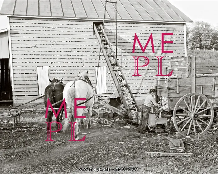 : Anonymous Farm Boy Unloading Wagon : Anonymous Farm Boy Unloading Wagon