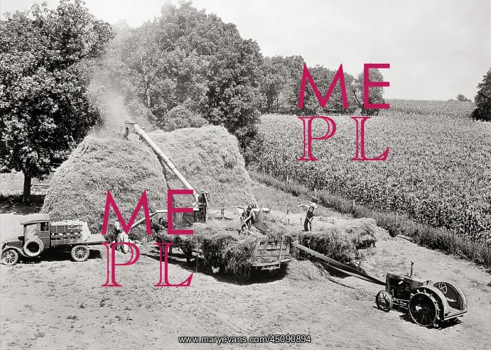: Three Anonymous Farm Workers with Truck Tractor : Three Anonymous Farm Workers with Truck Tractor