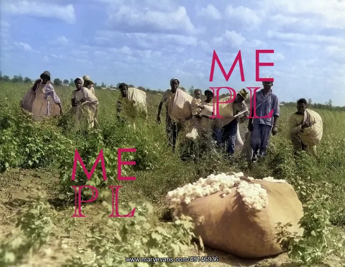 : Anonymous Group of African American Workers Men : Anonymous Group of African American Workers Men