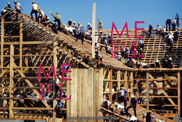 : Anonymous Group of Amish Men Working Together Building : Anonymous Group of Amish Men Working Together Building