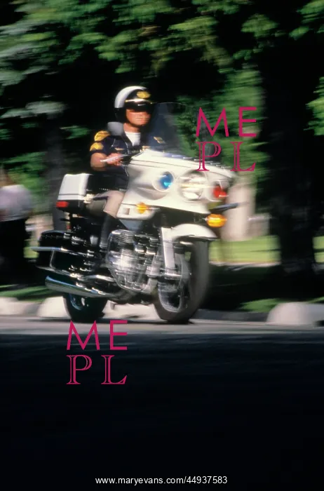 : Anonymous Policeman Riding : Anonymous Policeman Riding