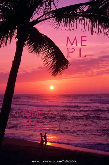 : Anonymous Silhouetted Couple walking Along Tropical : Anonymous Silhouetted Couple walking Along Tropical