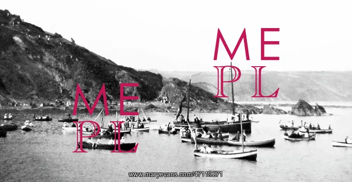  : Anstey's Cove