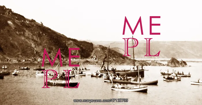  : Anstey's Cove