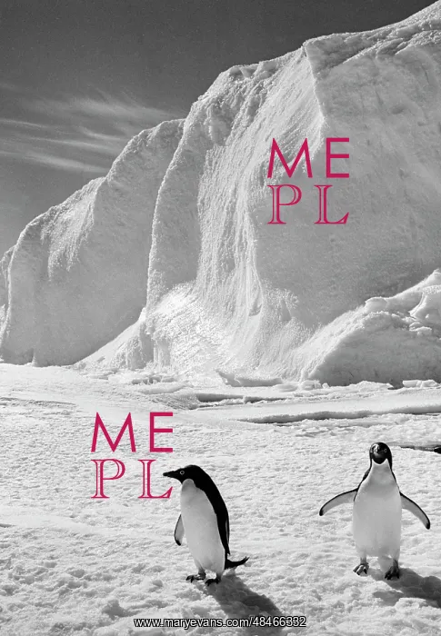 : Antarctic penguins : Antarctic penguins