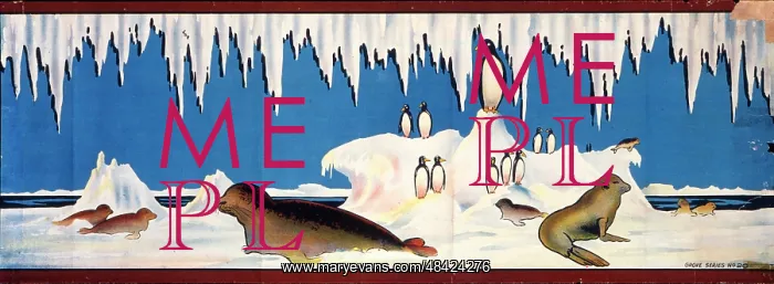 : Antarctic seals and penguins with snow and ice : Antarctic seals and penguins with snow and ice