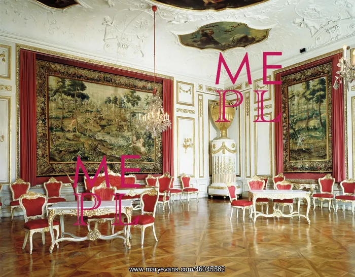  : Ante Camera of the Residence in Salzburg