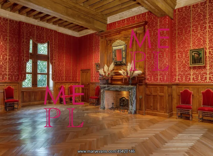 : Antechamber, Chateau d'Azay-le-Rideau : Antechamber, Chateau d'Azay-le-Rideau