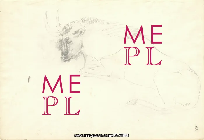 : Antelope. Ff. 23. Drawing by George Forster (1754-1794) : Antelope. Ff. 23. Drawing by George Forster (1754-1794)