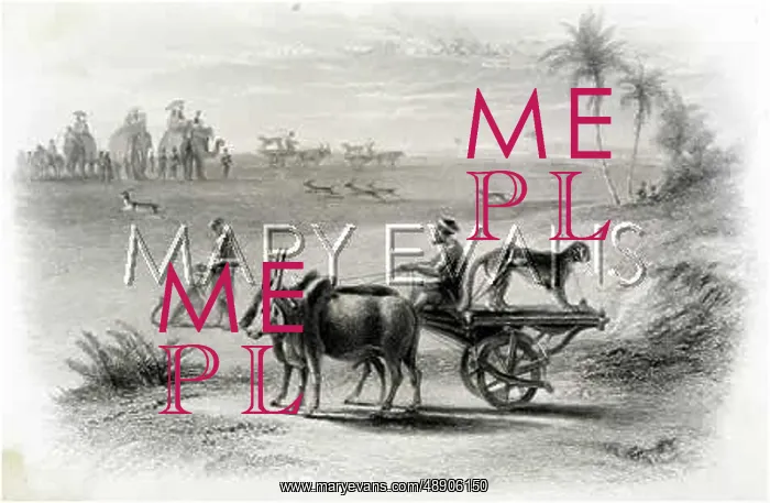 : ANTELOPE HUNT INDIA