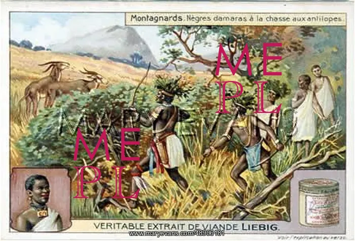 : ANTELOPE HUNT LIEBIG : ANTELOPE HUNT LIEBIG