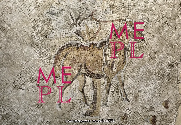 : Antelope mosaic, Museum of Madaba, Jordan : Antelope mosaic, Museum of Madaba, Jordan