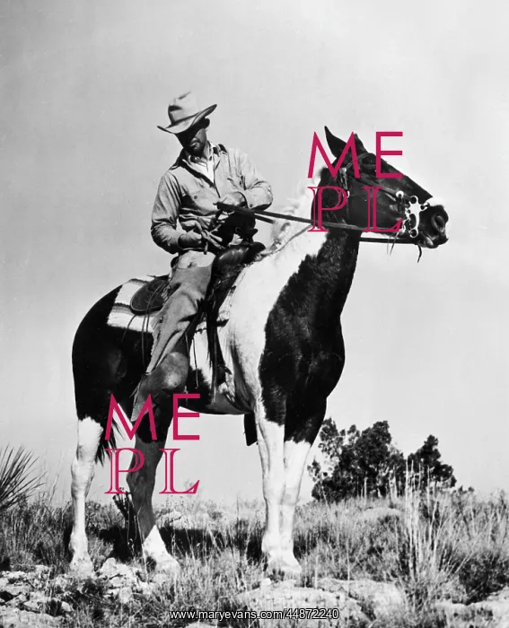 : ANTELOPE TRAPPER : ANTELOPE TRAPPER