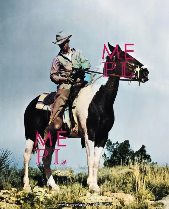: ANTELOPE TRAPPER : ANTELOPE TRAPPER