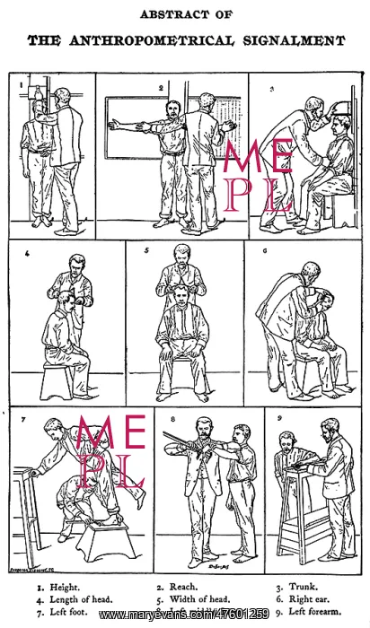 : The Anthropometrical Signalment, 1896 : The Anthropometrical Signalment, 1896
