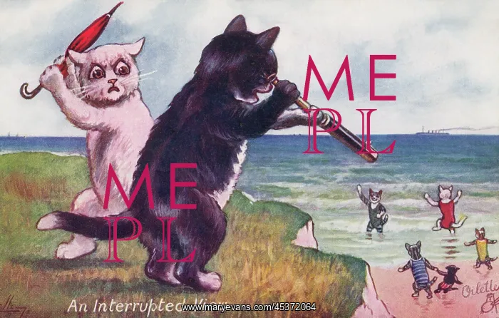 : Anthropomorphic cats : Anthropomorphic cats