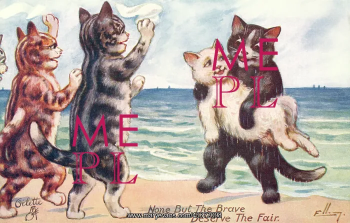 : Anthropomorphic cats : Anthropomorphic cats