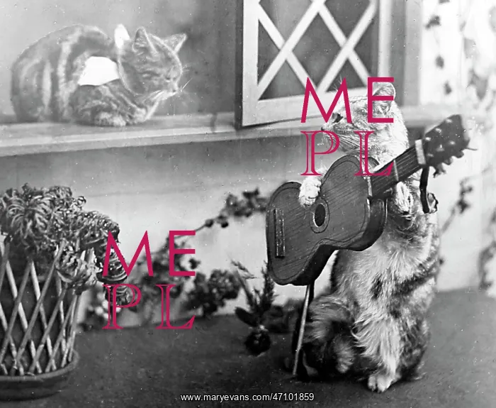 : Anthropomorphic cats, Victorian period : Anthropomorphic cats, Victorian period
