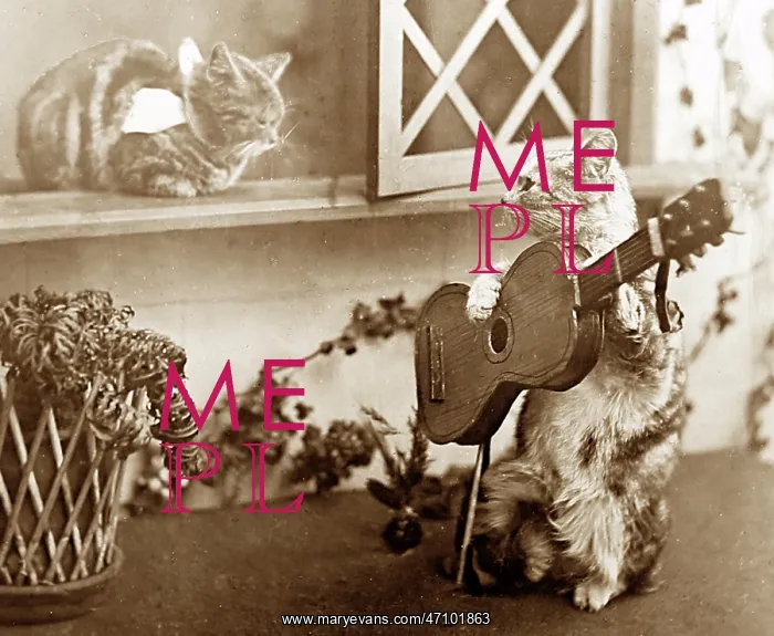 : Anthropomorphic cats, Victorian period : Anthropomorphic cats, Victorian period