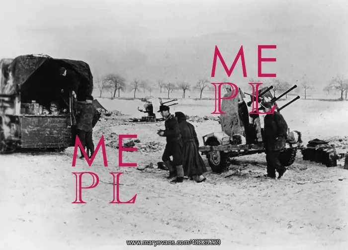 : Anti-aircraft guns of the Luftwaffe on the Western Front : Anti-aircraft guns of the Luftwaffe on the Western Front