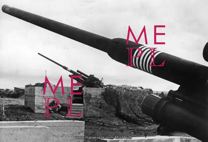 : Anti-aircraft position on the Atlantic Wall : Anti-aircraft position on the Atlantic Wall
