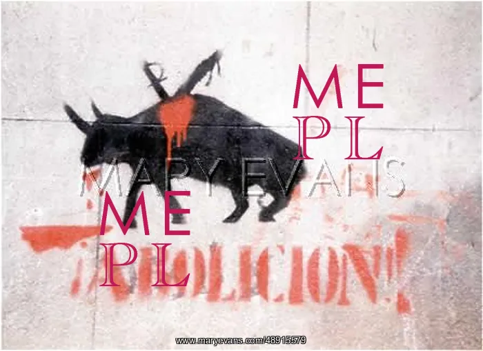  : ANTI-BULLFIGHT GRAFFITO