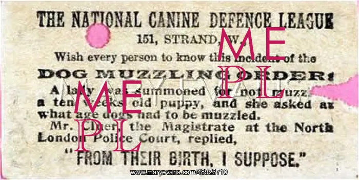 : ANTI-MUZZLING ADVERT : ANTI-MUZZLING ADVERT