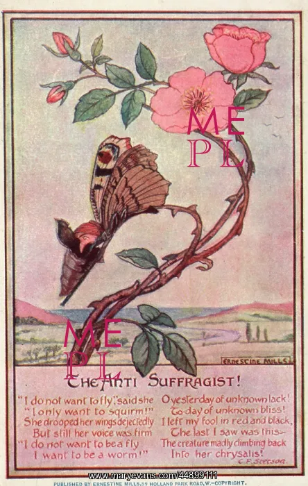 : The Anti-Suffragist : The Anti-Suffragist