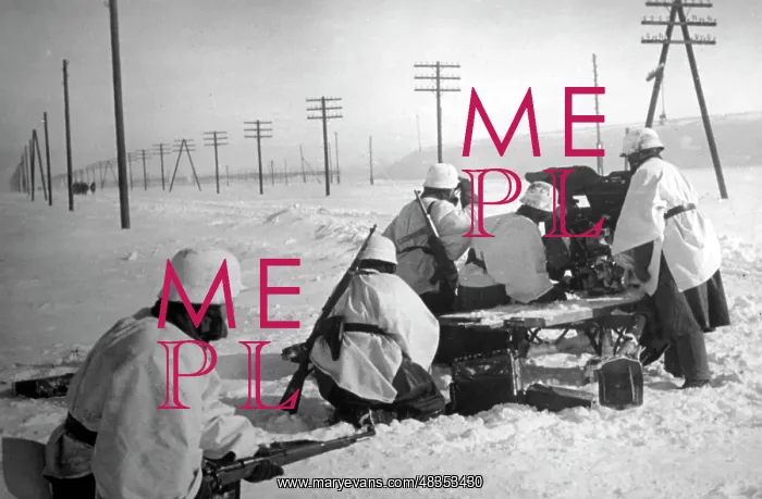 : Anti-tank position on the Eastern Front, 1942 : Anti-tank position on the Eastern Front, 1942