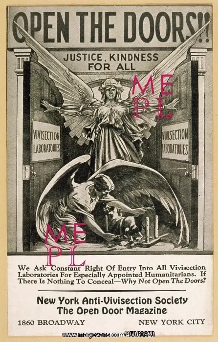  : ANTI VIVISECTION POSTER