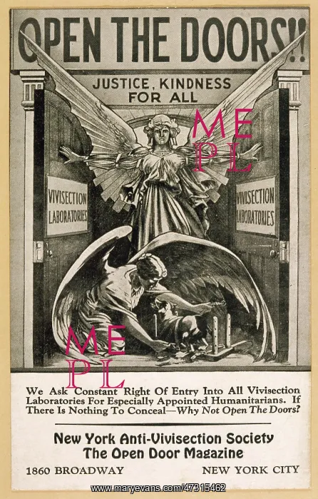  : ANTI VIVISECTION POSTER
