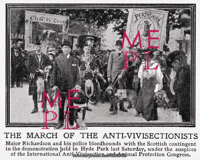 : Anti-Vivisectionists march in Hyde Park 1909 : Anti-Vivisectionists march in Hyde Park 1909